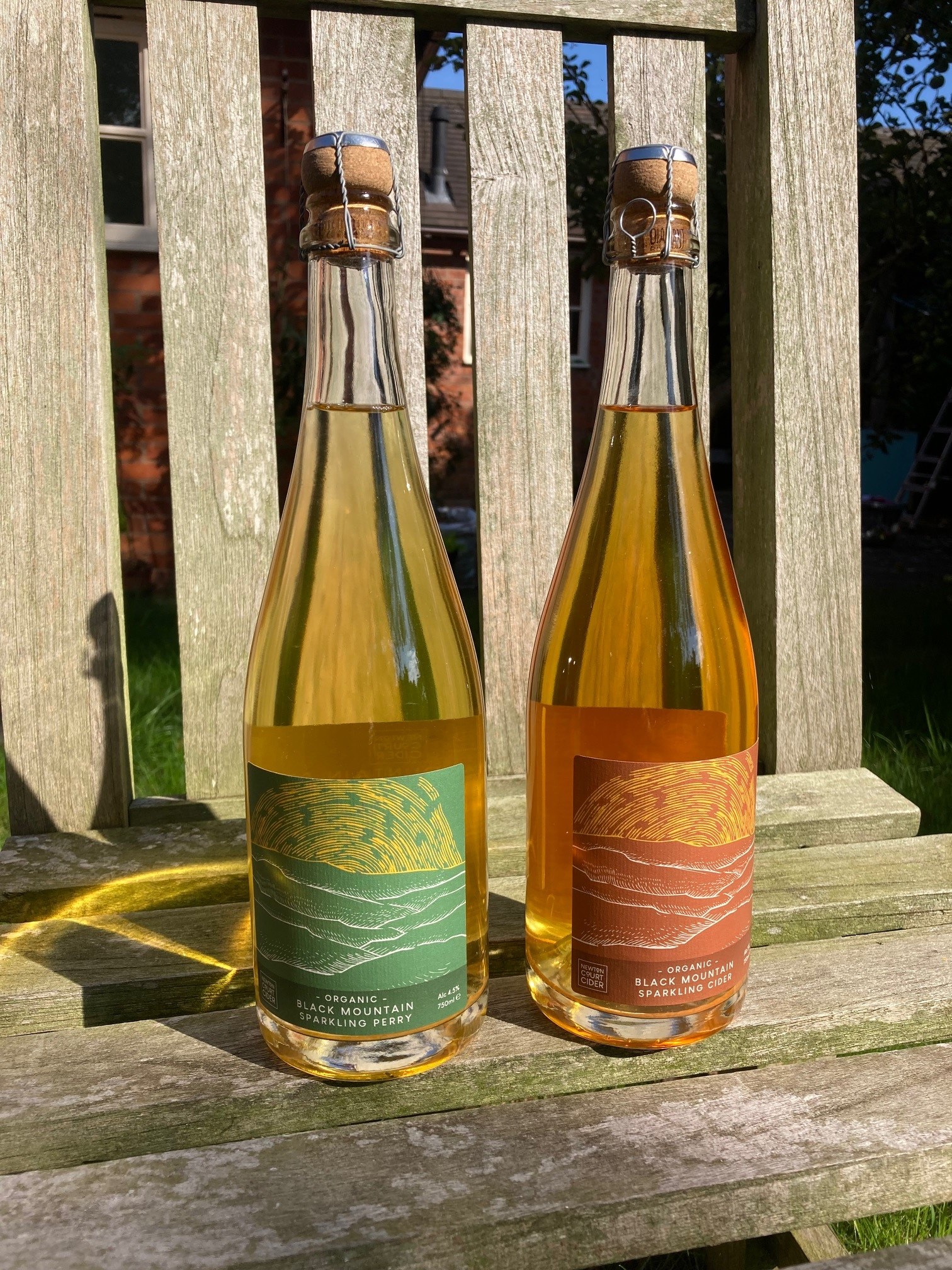 Black mountains perry and cider from newton court cider