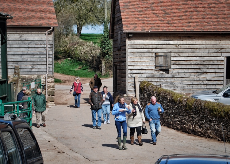 Tour group