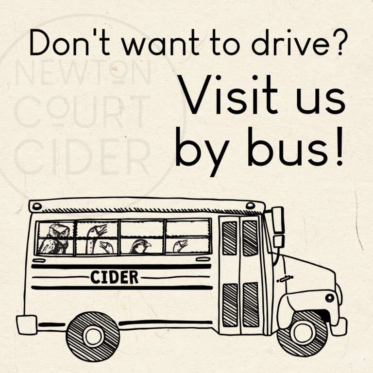 Visit us by bus