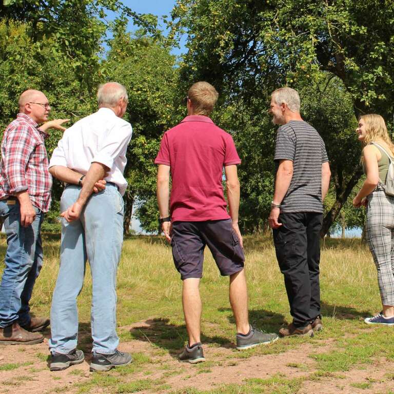 Cider making tours