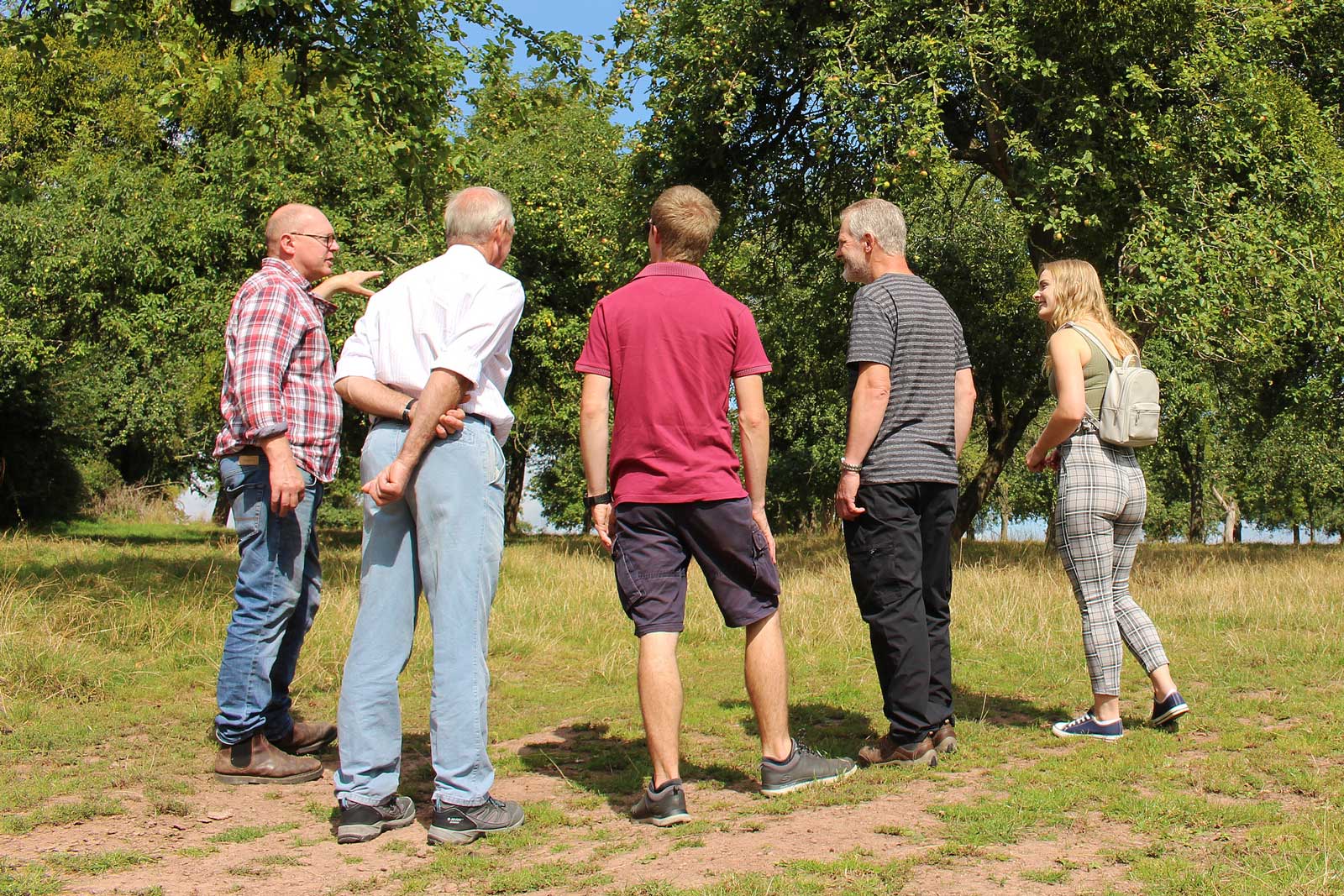Cider making tours