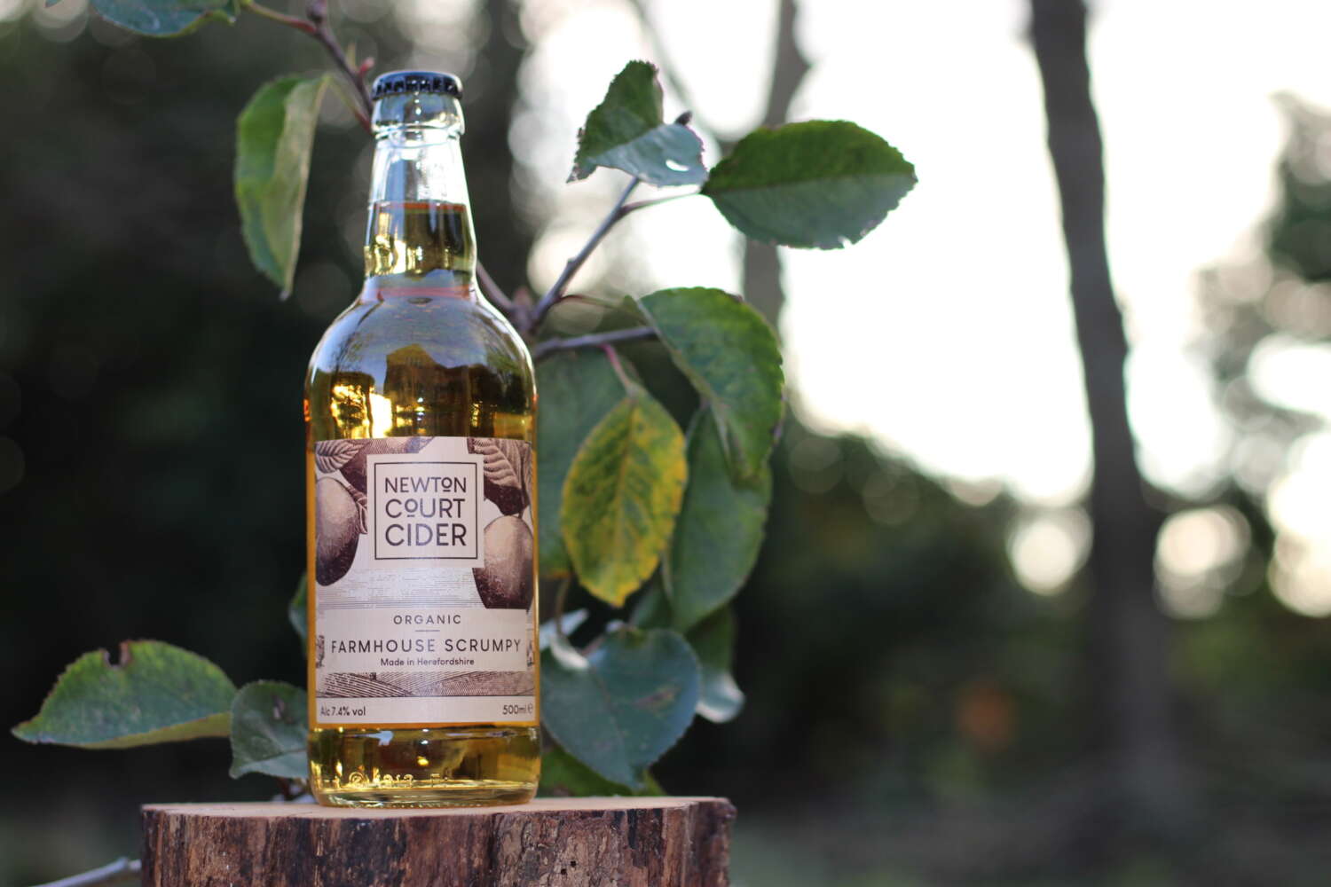 Cider delivery info for Newton Court Cider