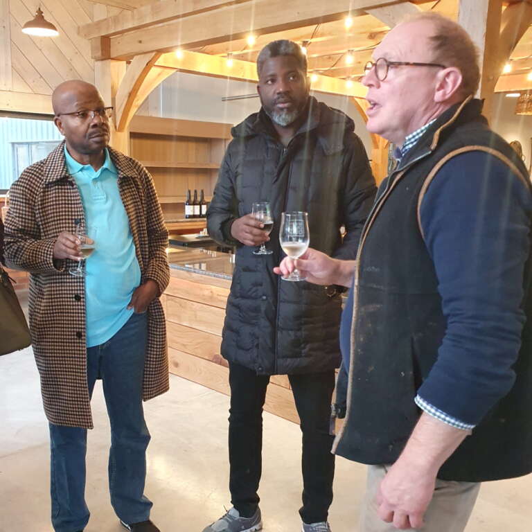 Cider tour sq