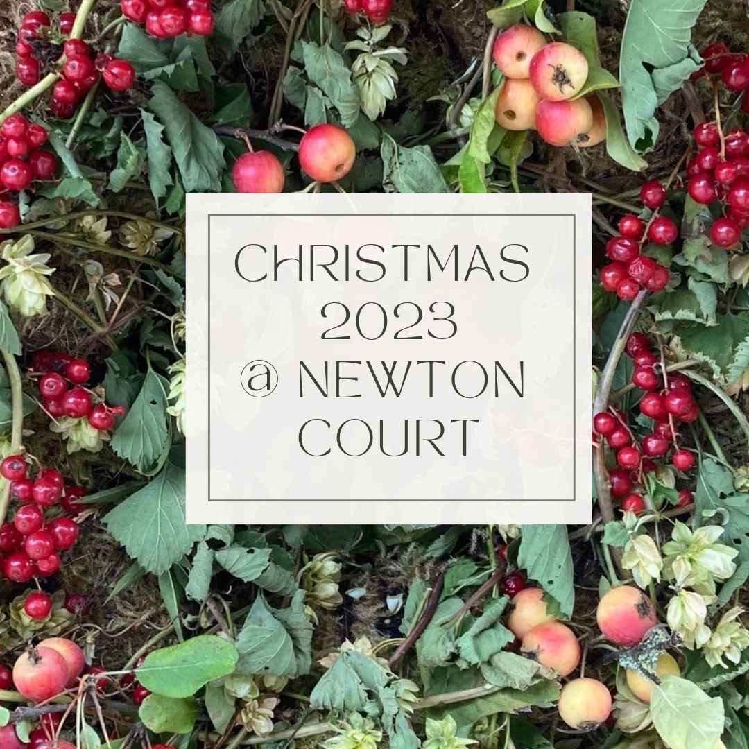 Christmas at newton court