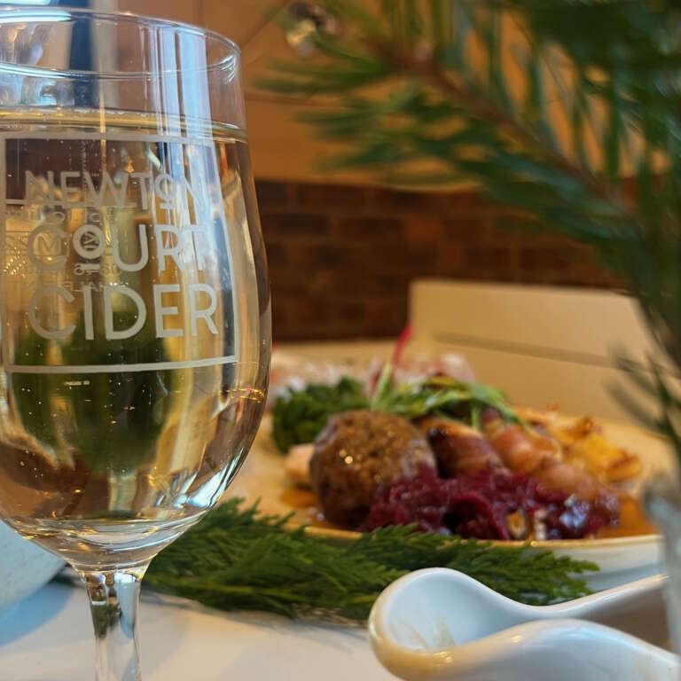 Turkey lunch and cider