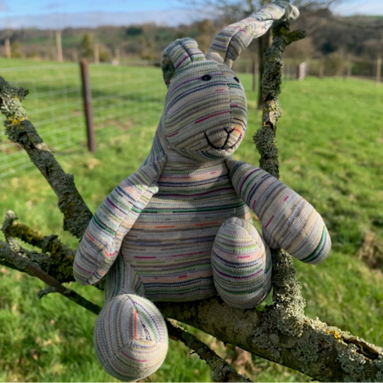 Babbit rabbit in the orchard