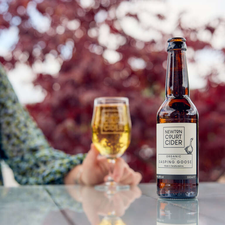 Glorious gasping goose cider at newton court