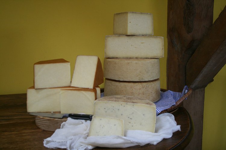 Cheese