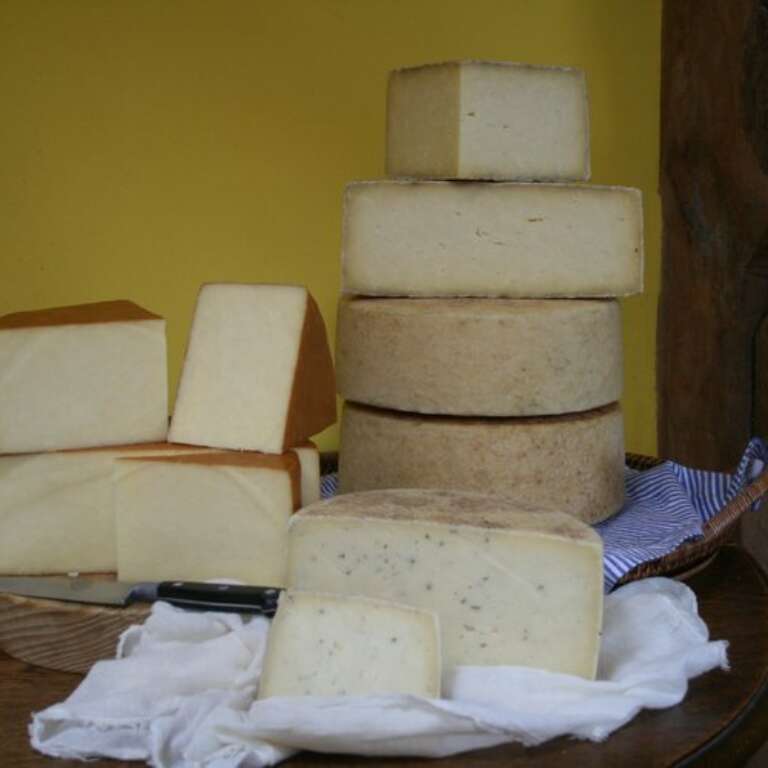 Cheese
