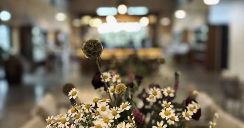 Newton court events brochure for website